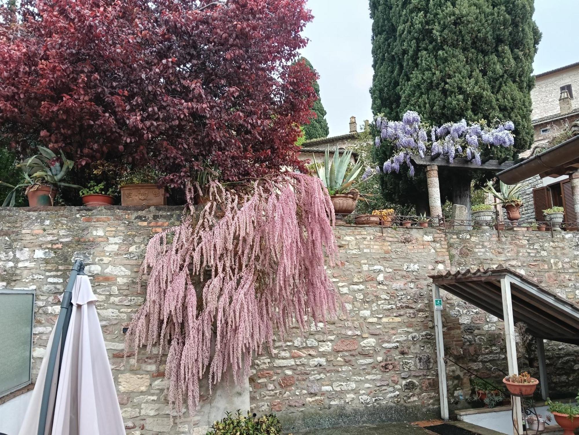 Apartment Santa Chiara